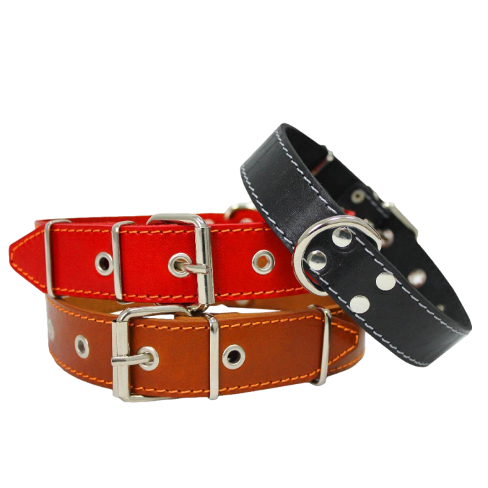 Dog Collar