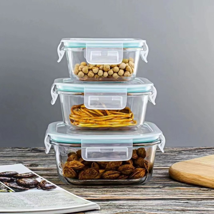 Glass Square Food Storage Container