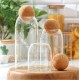 Transparent Glass Jar with Round Ball Cork Lid