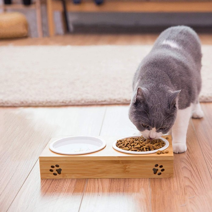 Pet Ceramic Double Bowl with Bamboo Stand