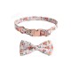 Dog Collar Cute Designed Adjustable