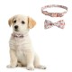 Dog Collar Cute Designed Adjustable