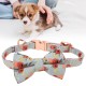 Dog Collar Cute Designed Adjustable