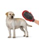 Pet Gentle Grooming Glove and Hair Remover