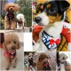 Dog Harness with Leash Cute Designed Adjustable