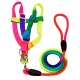 Dog Colored Adjustable Harness and Leash Set