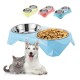 Dog Food Double Bowl