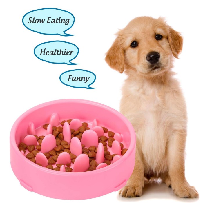 Slow Feeder Puzzle Dog Bowl