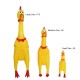 Pets Rubber Chicken Toy