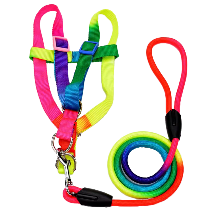 360 PET Dog Harness And Leash Cute Designed Adjustable